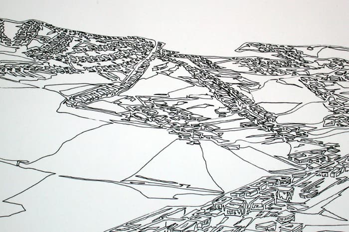 Curly Hills - Detail